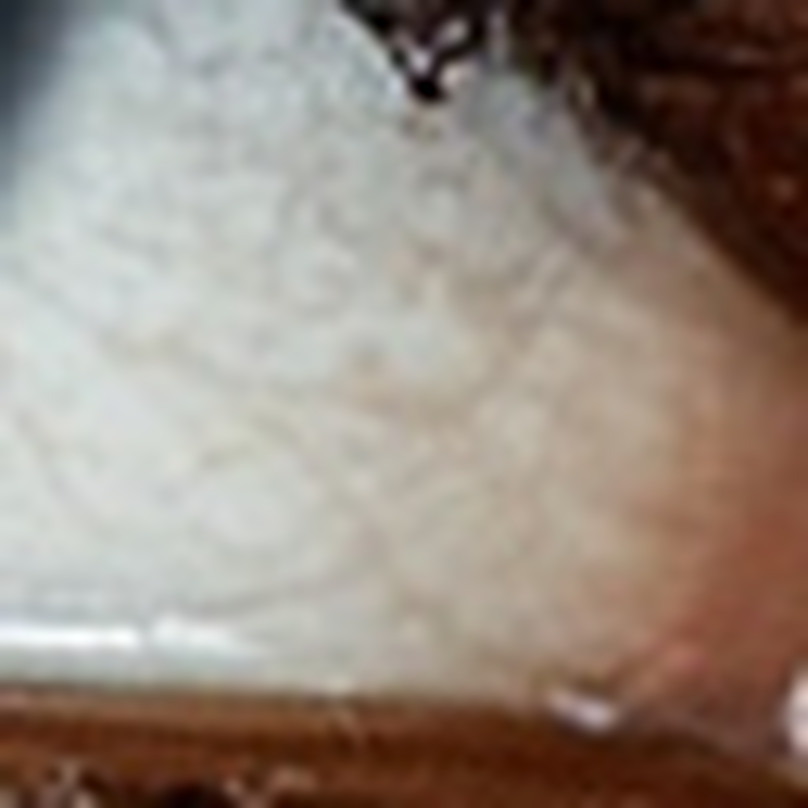 A nested 64 pixel region of the lower-right sclera stretched to 808 pixels with Lanczos resizing